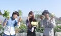 野菜収穫会５